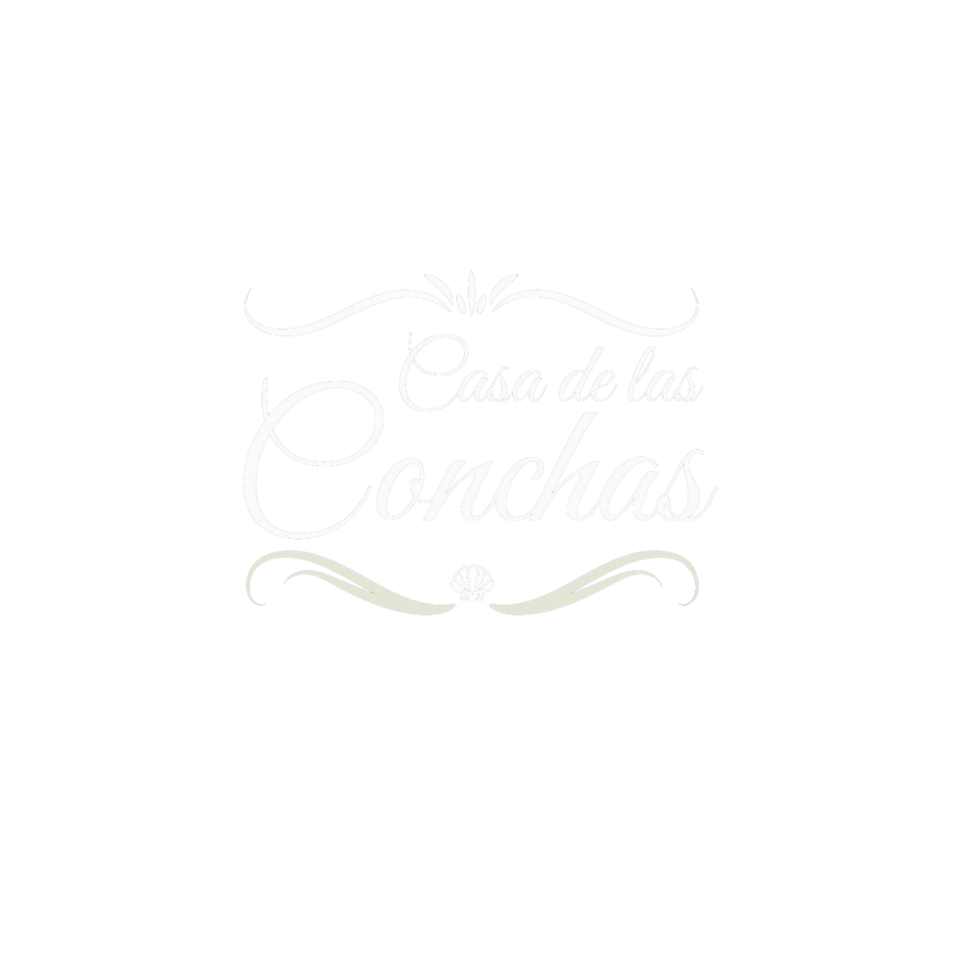 Logo transparencia