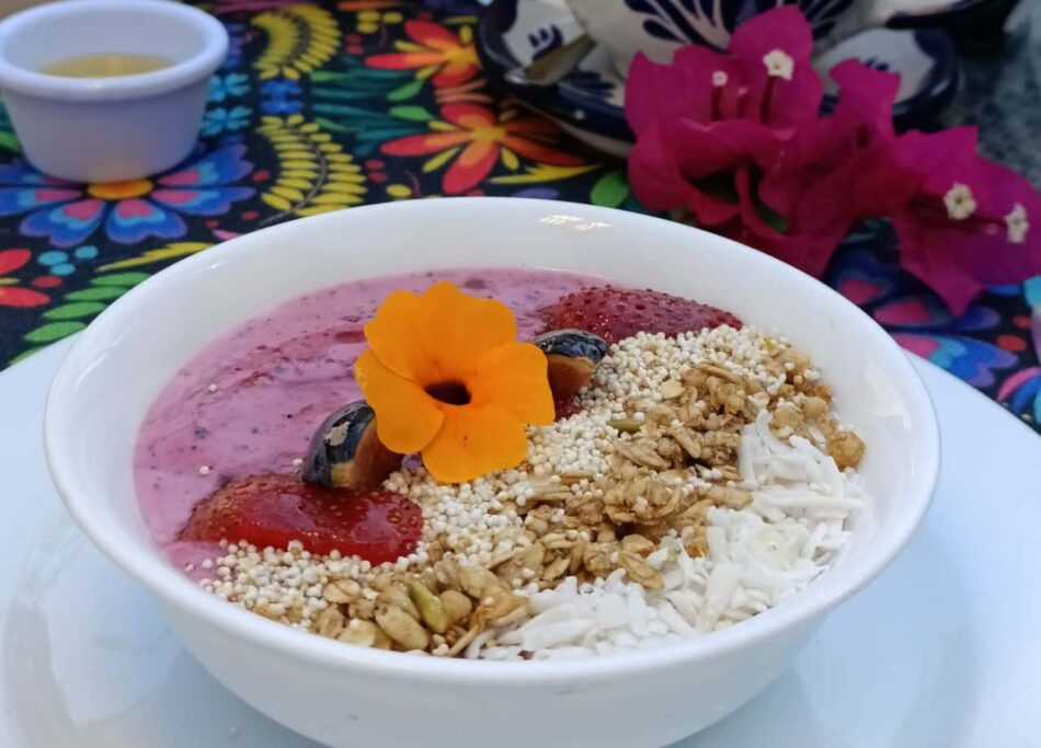 Bowl de Yoghurt Rosa